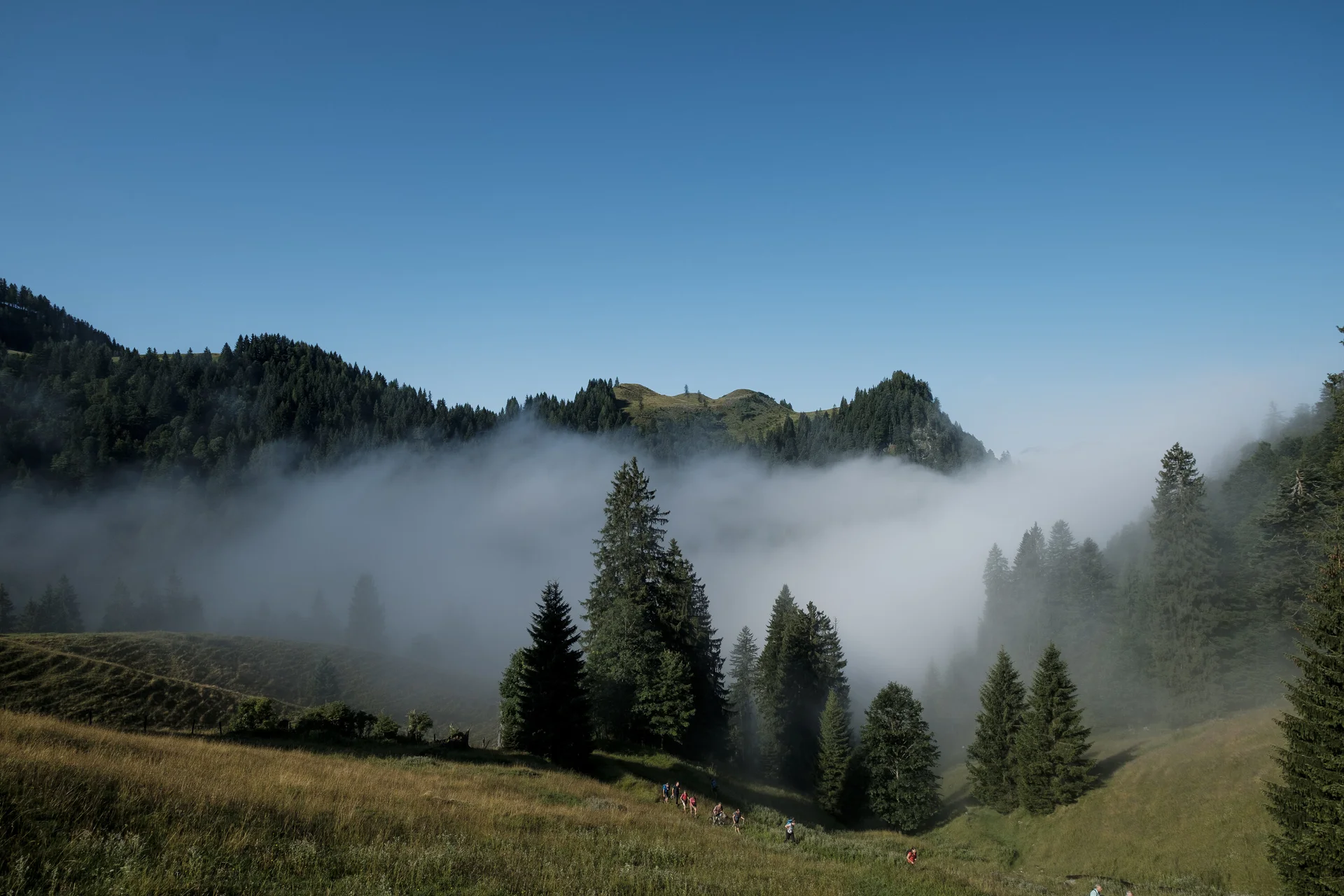Baumgruppe im NebelEine Wandergruppe läuft durch ein nebelverhangenes Tal im Chiemgau. | © DAV/Hans Herbig