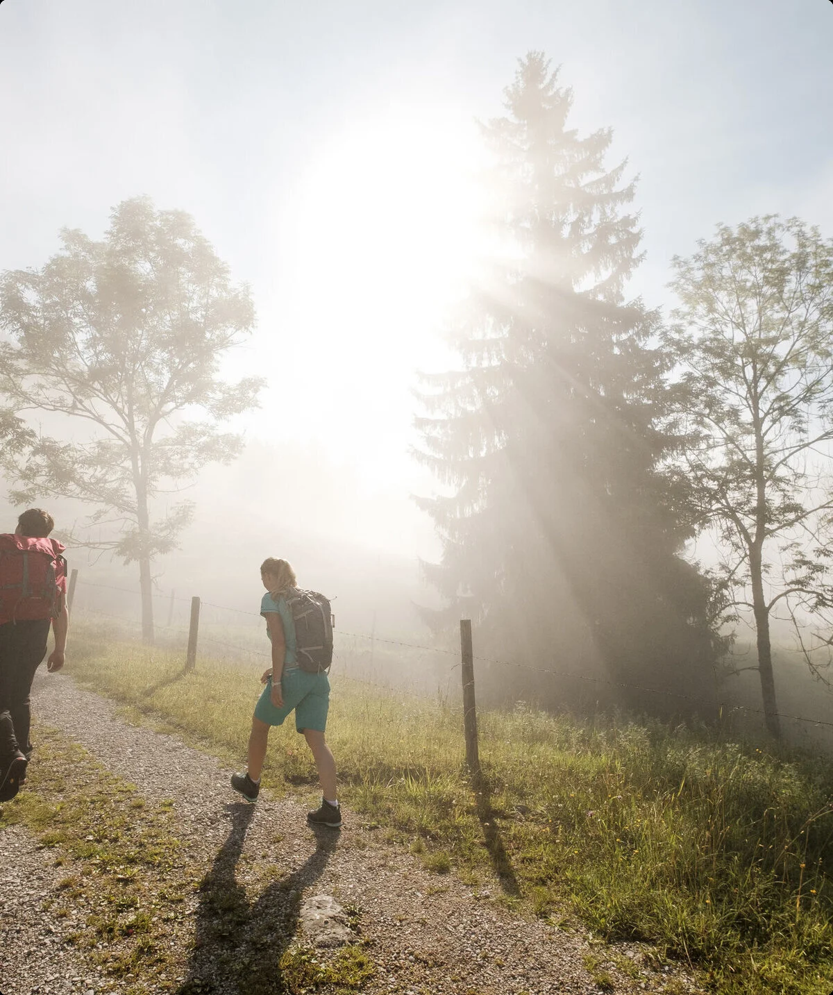 Gemeinsamer Aufstieg bei Sonnenaufgang - die Sonne scheint durch den Nebel | © DAV/Hans Herbig