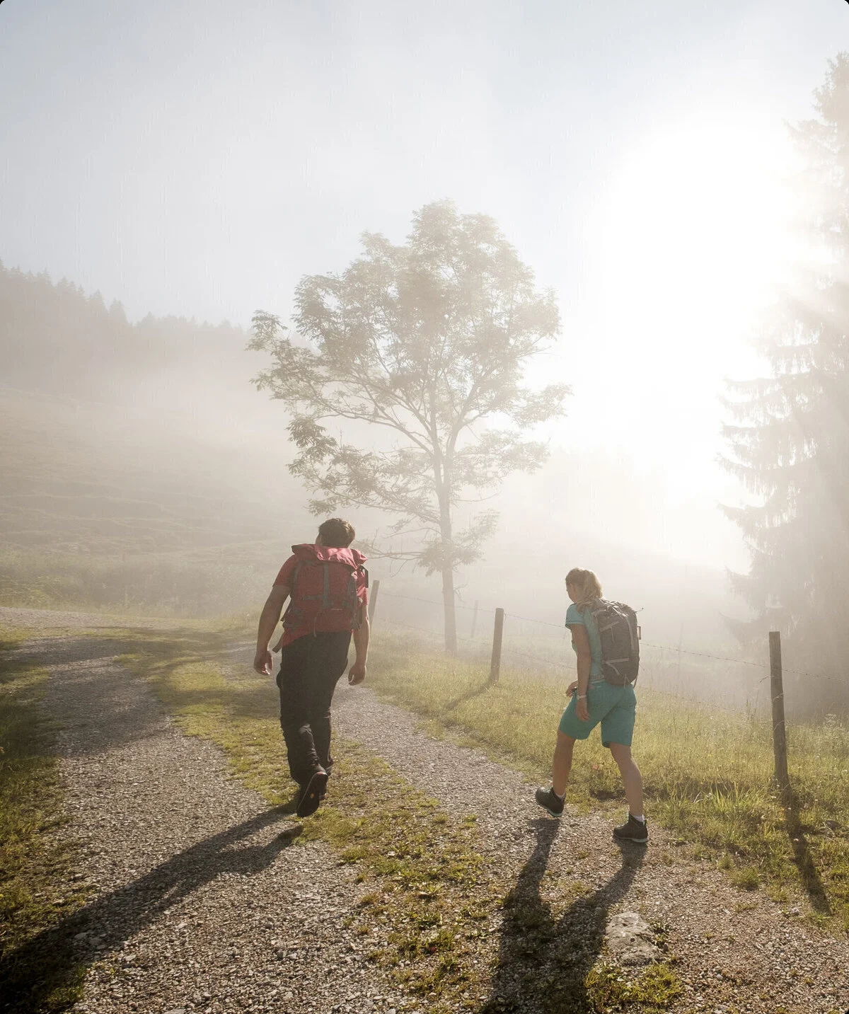 Gemeinsamer Aufstieg bei Sonnenaufgang - die Sonne scheint durch den Nebel | © DAV/Hans Herbig