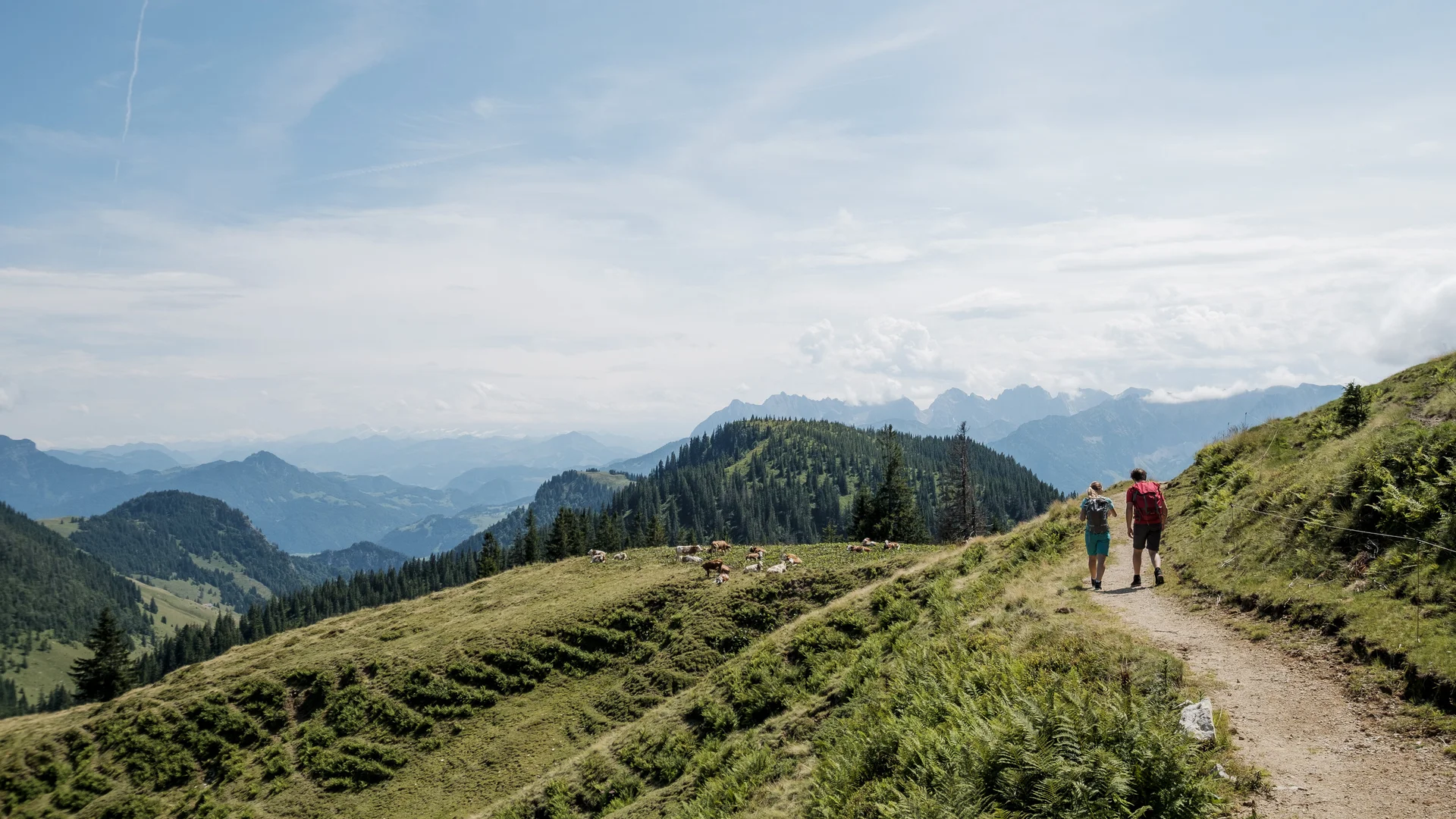 Zwei Wanderer auf einem Bergpfad in den Chiemgauer Alpen | © DAV/Hans Herbig