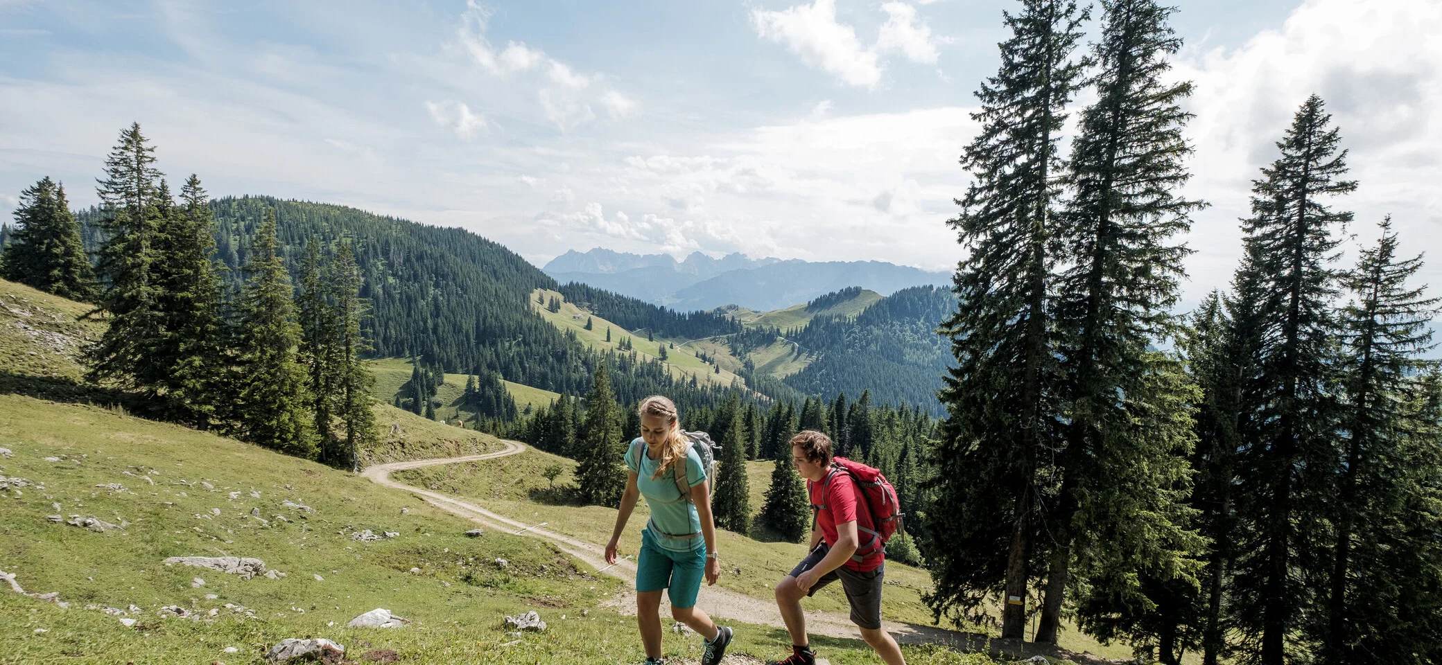 Zwei Wanderer auf einem Bergpfad in den Chiemgauer Alpen | © DAV/Hans Herbig