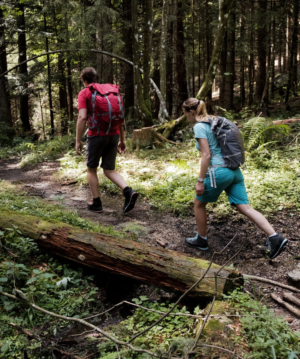 Zwei Wanderer auf dem Weg durch einen Wald | © DAV/Hans Herbig
