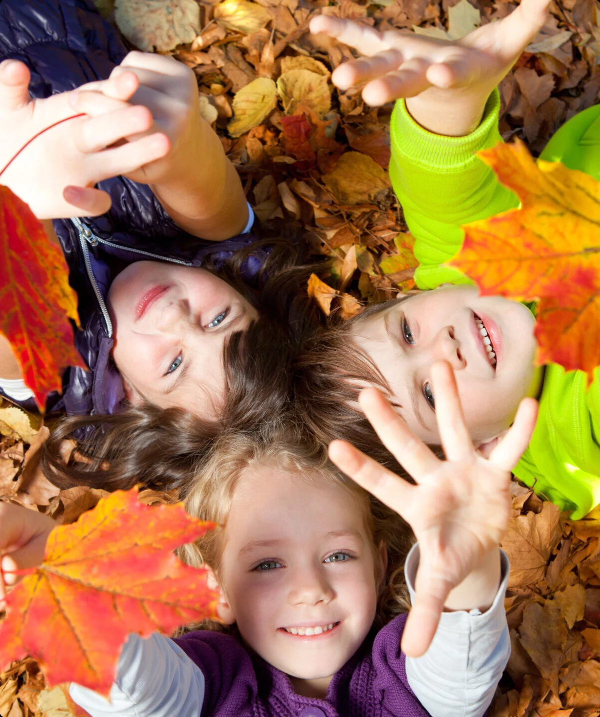Kinder spielen mit bunten Hrbstblättern | © Drubig Photo / Adobe Stock